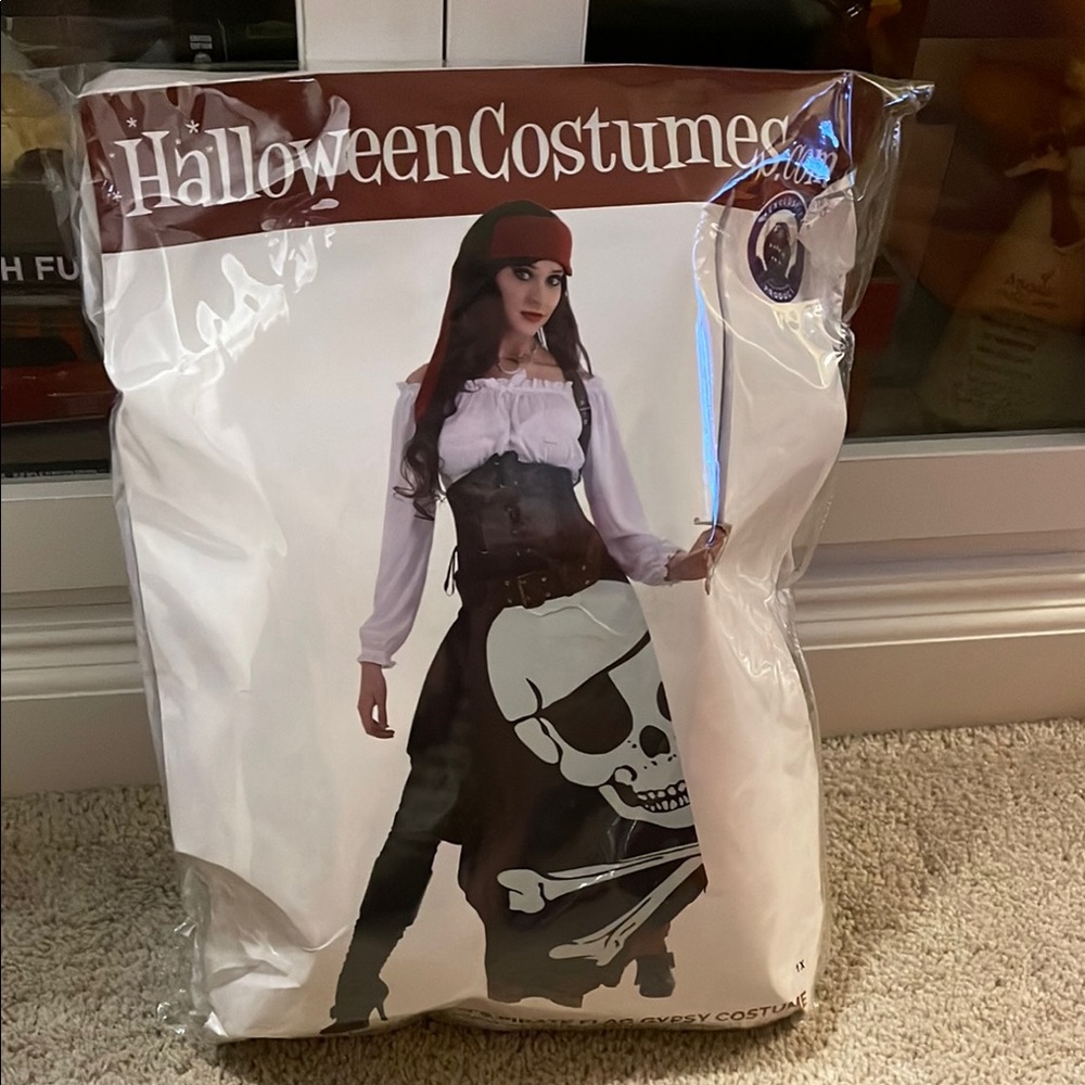 Women's Plus Size Pirate Flag Gypsy Halloween Costume, Worn Once